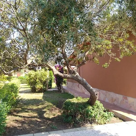 Nuova Valmar Casa Rota Semesterbostad Costa Rei